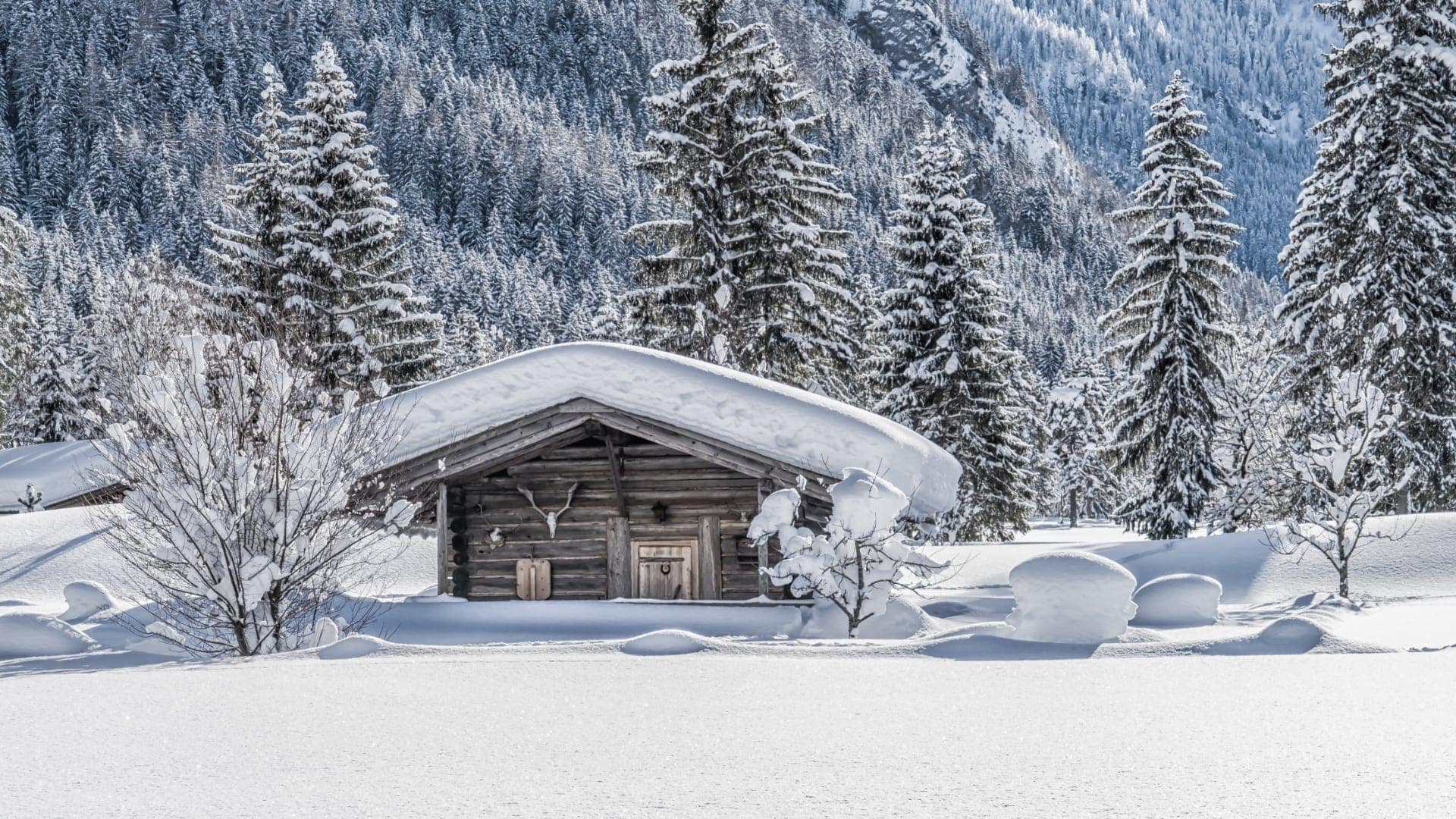 Hütte im Naturpark Karwendel in Pertisau